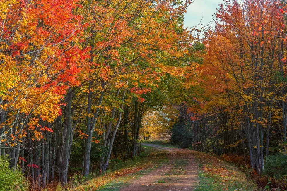 Beautiful Trails To Follow This Fall In North Dakota