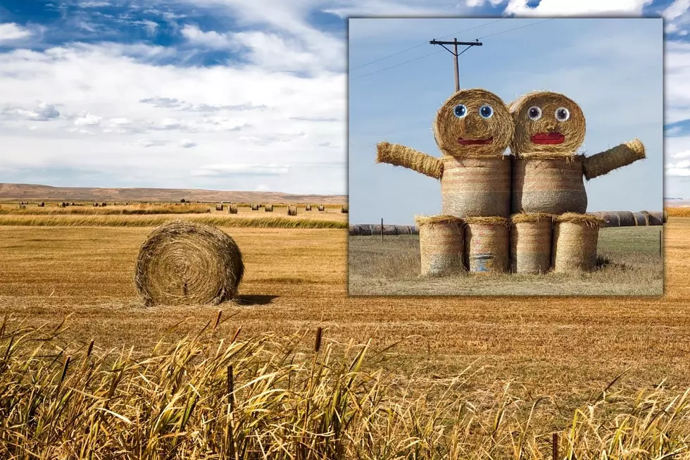 &#8220;Hay People!&#8221; Keep Your Eyes Open On The Drive North Dakota