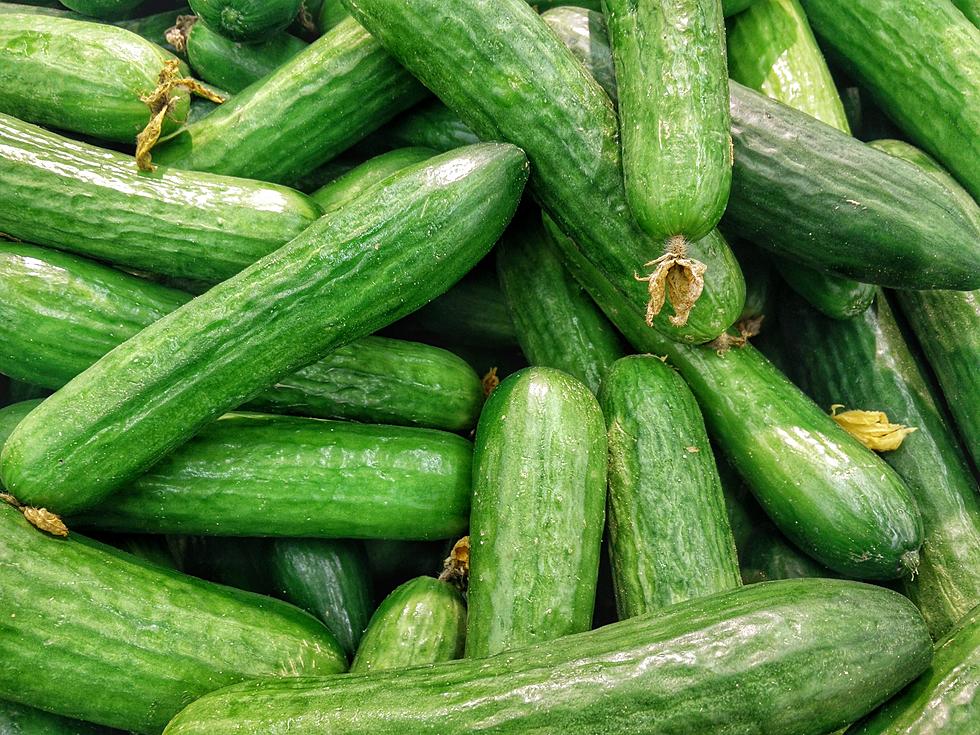Smell Cucumbers In Your North Dakota Home Or Garage Get Out! 🐍