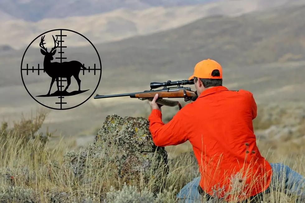MUSTS for North Dakota Deer Hunting