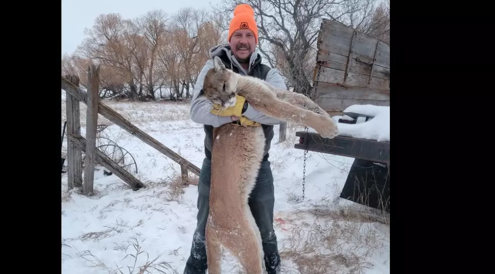 North Dakota Deer & Cat Hunting Story That’s Hard To Top