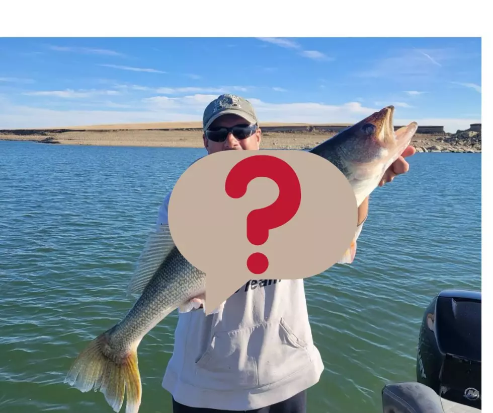 Was A New State Record Walleye Just Caught In North Dakota?