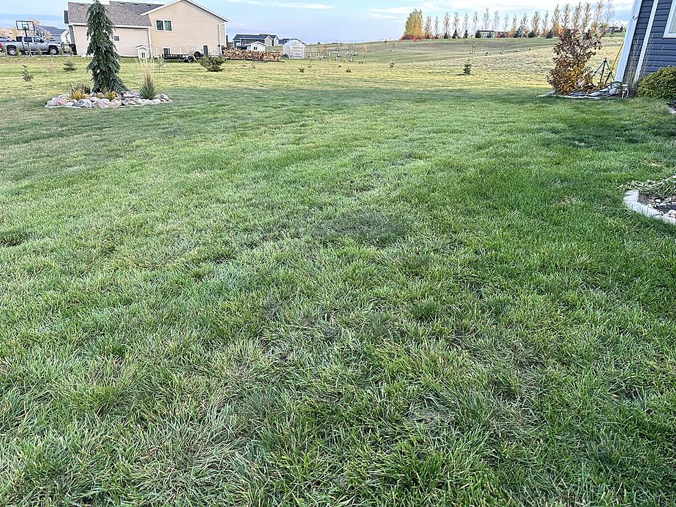 When Should You Stop Mowing Your Lawn In North Dakota?