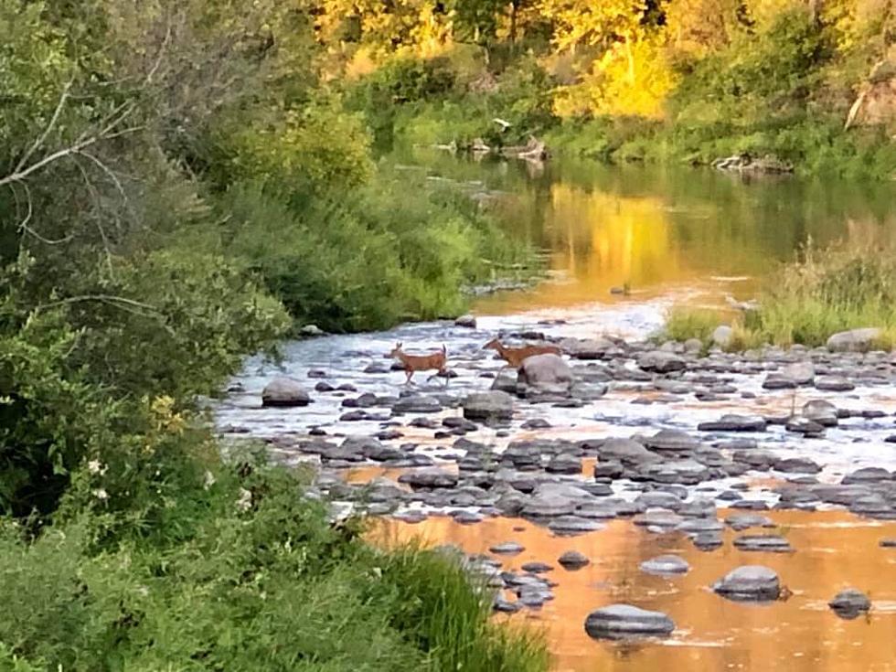 The 8 Most Scenic Rivers That Flow Through North Dakota