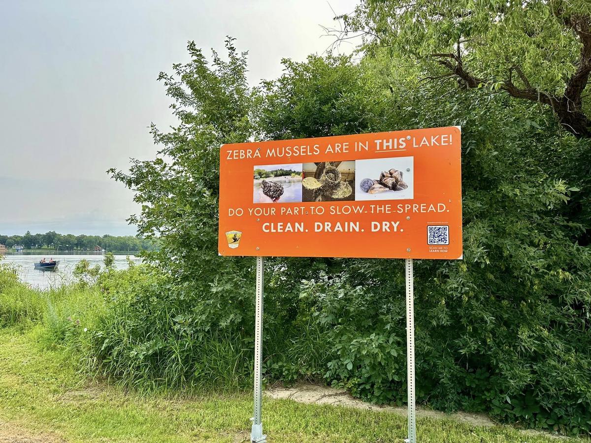 Zebra Mussels In North Dakota Lakes: Will It Really Be That Bad? Zebra Mussels In North Dakota Lakes: Will It Really Be That Bad?