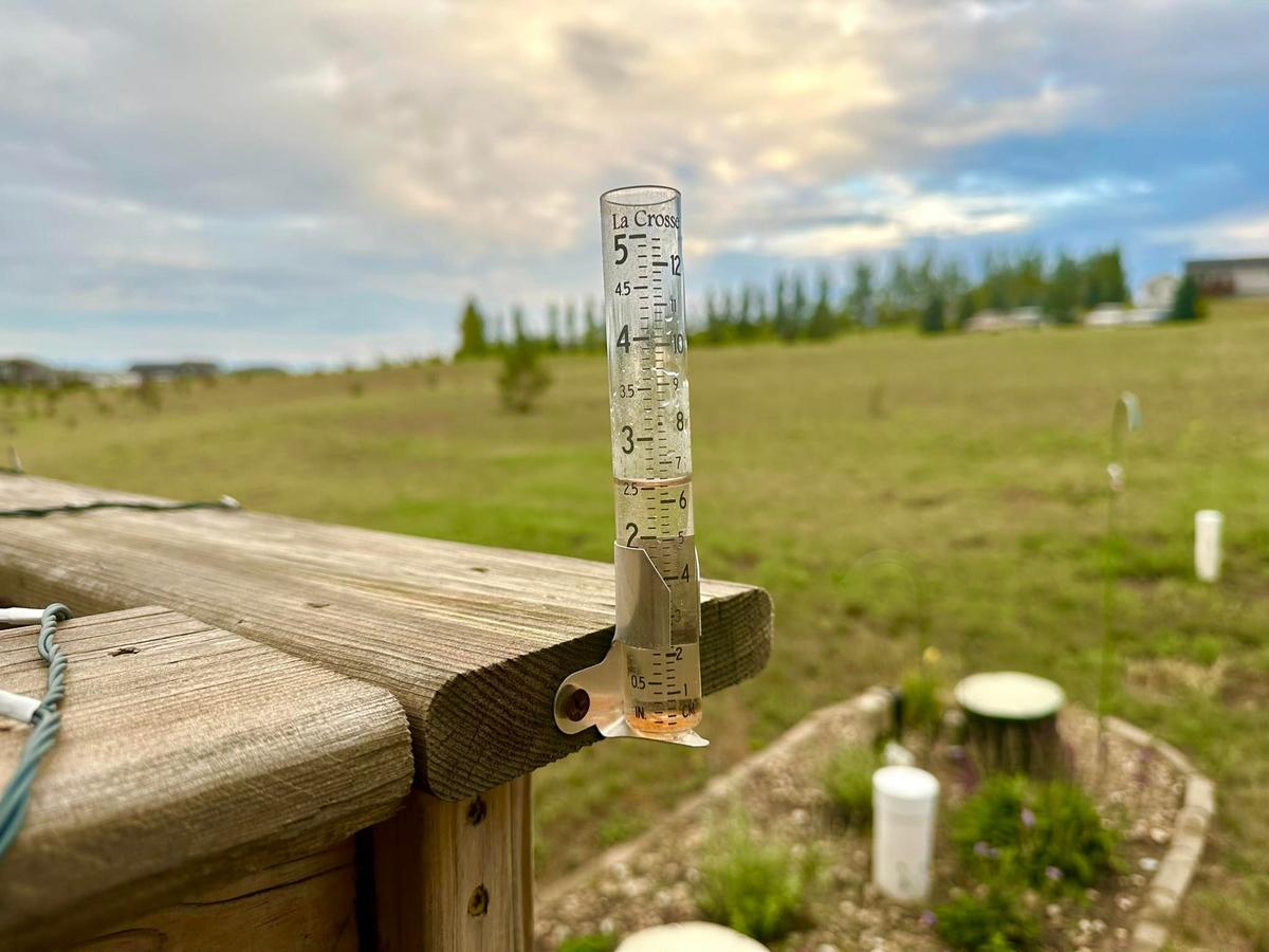 Insane 24 Hour Rainfall Totals Across North Dakota