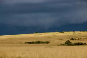 ND Rainfall Totals: Mostly Disappointing But Anything Helps
