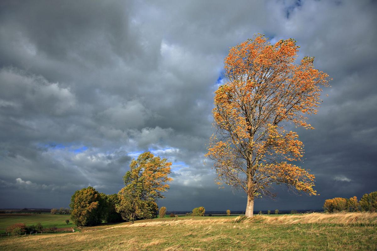 October Thunderstorms In North Dakota: What To Expect This Weekend