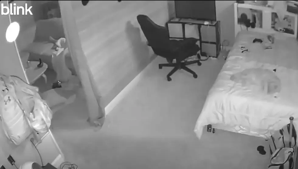 Caught On Camera: Video Proof Of Paranormal Activity In Bismarck?
