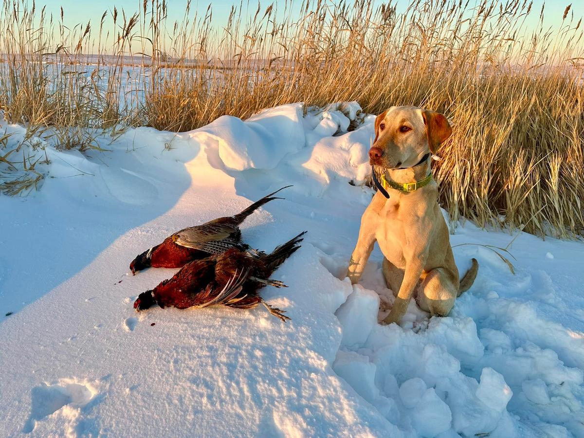 Snow Way! North Dakota's First Measurable Snow Next Week?