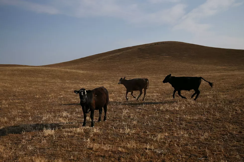 Governor Declares &#8216;Drought Disaster&#8217; For North Dakota