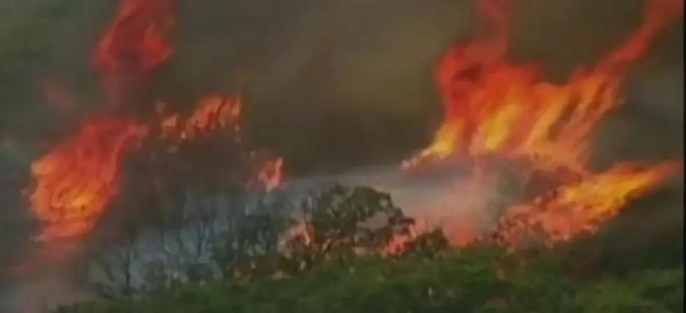 Waldo Canyon Fire Uncovers Pot Farm