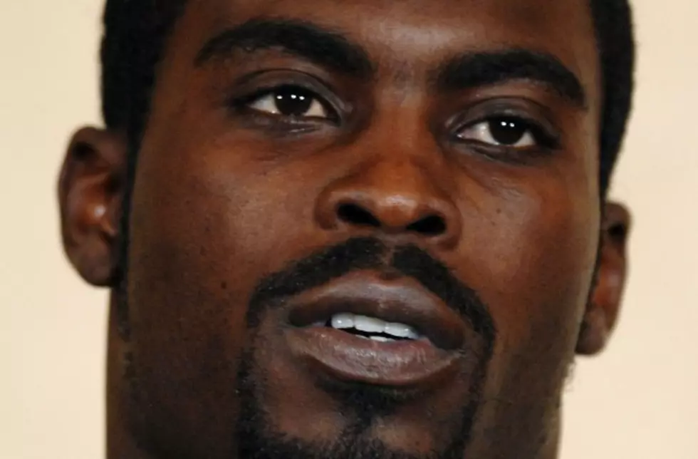 Michael Vick&#8211;Convicted Dog Abuser&#8211;Dog Owner Again [POLL]