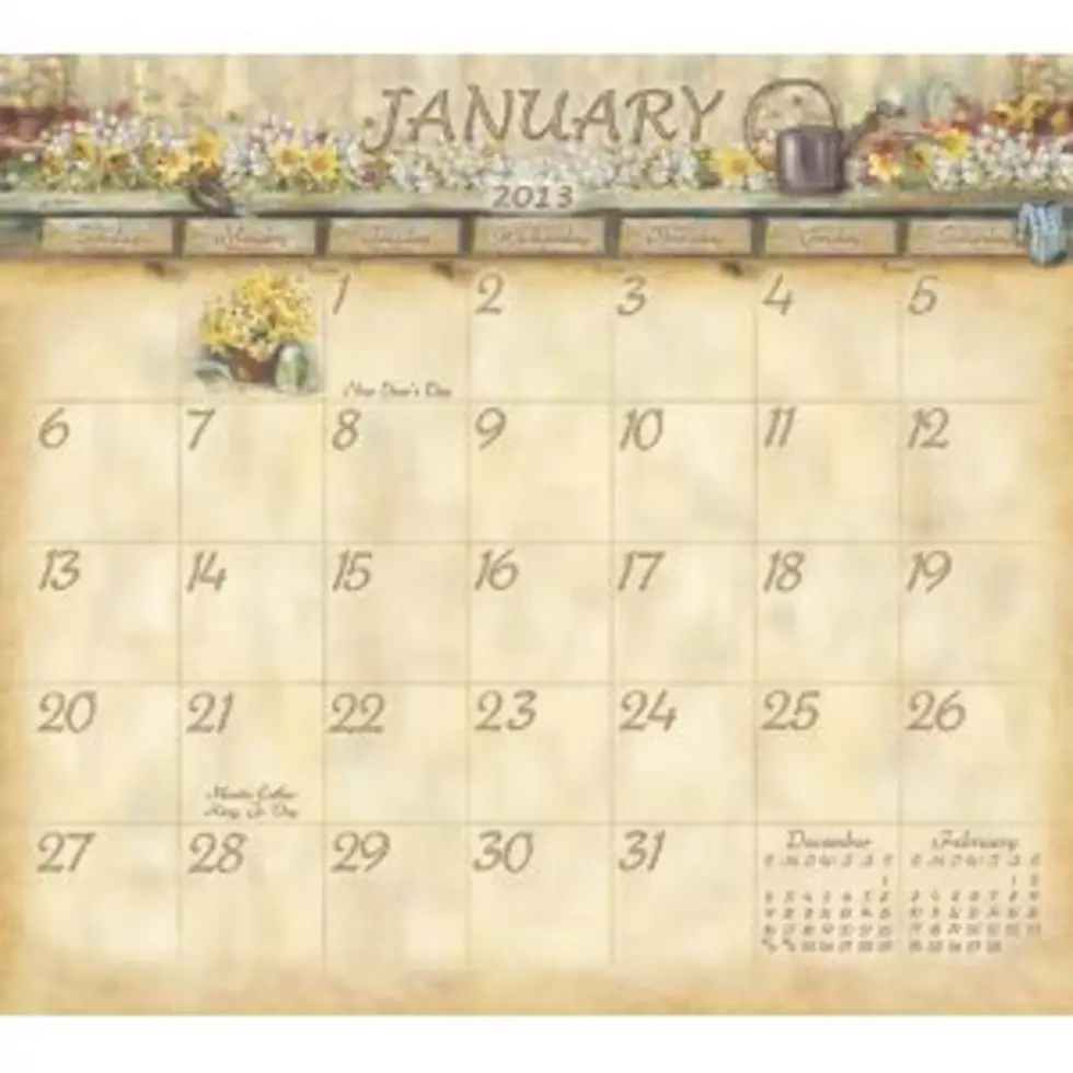 Celebrate Obscure January Holidays