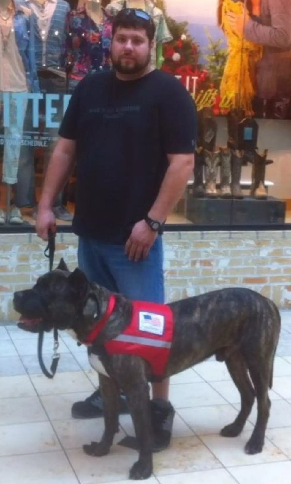 Disabled Veteran Asking Your Help to Keep His Service Dog After it Was Beatin