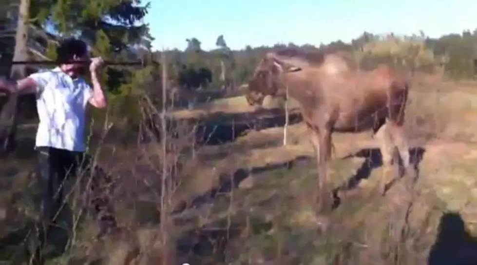 Manliest Man Ever Takes on Moose [VIDEO]
