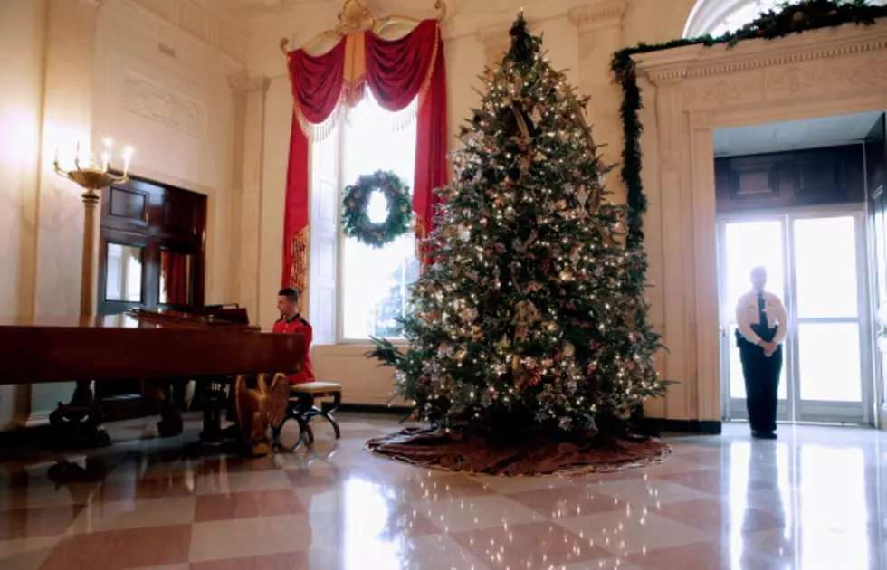 White House Christmas Decorations Unveiled