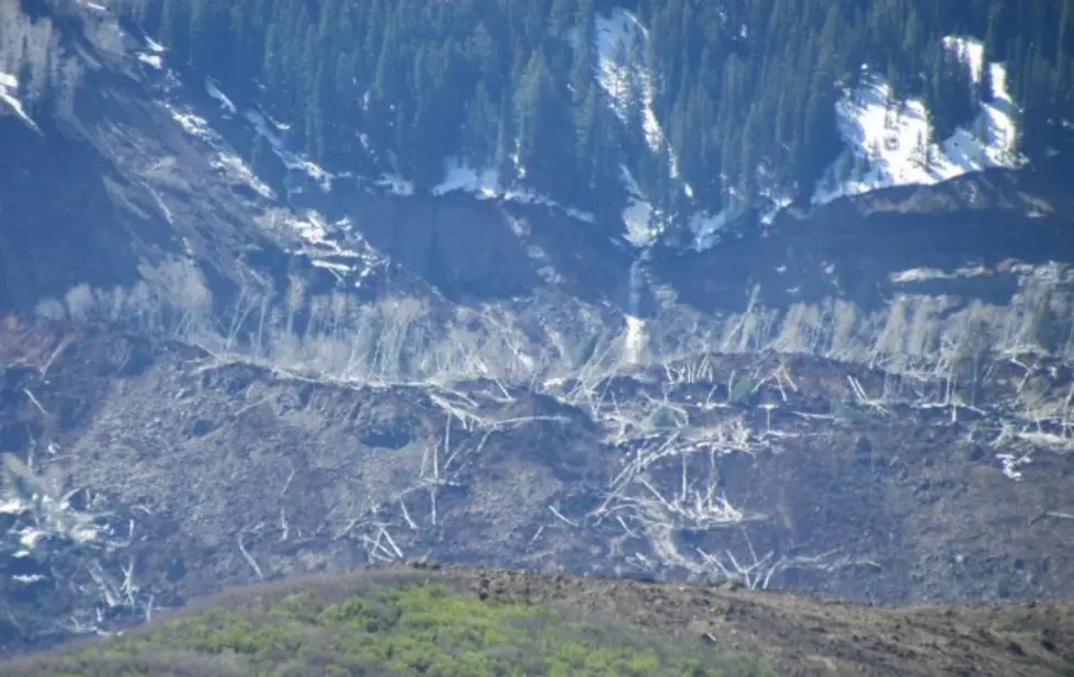 Local Emergency Declared + Recovery Efforts Started for Grand Mesa Mudslide