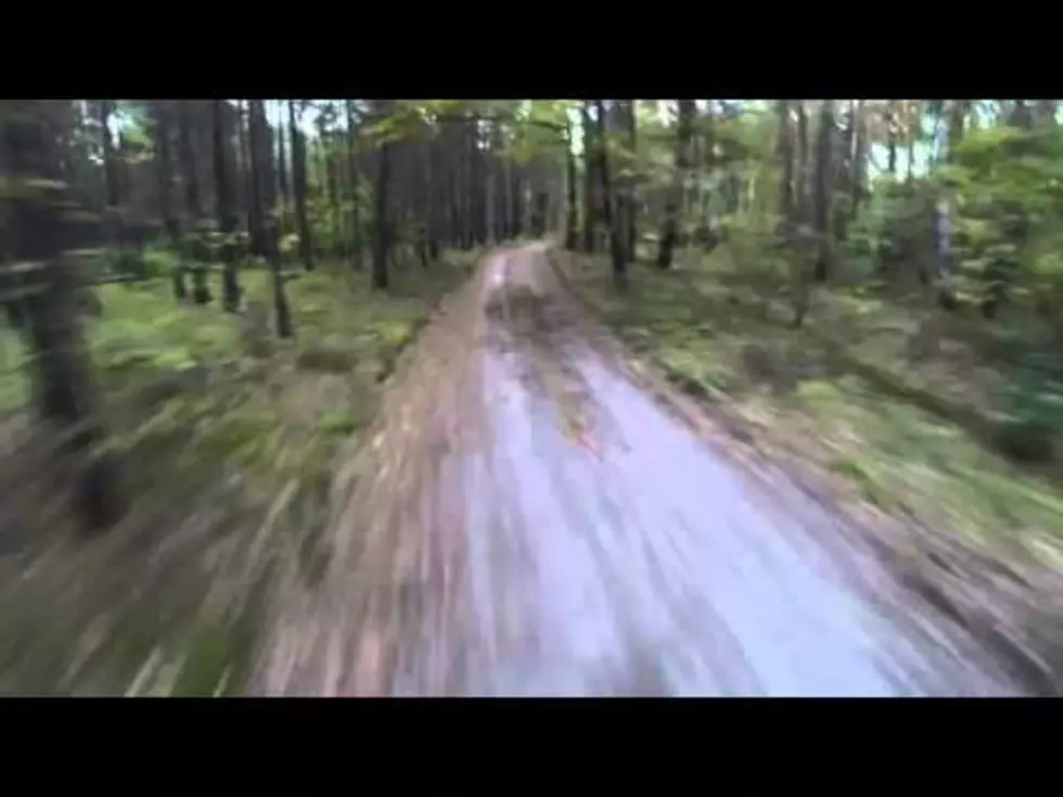 Bear Chases Man on a Bike Through the Woods