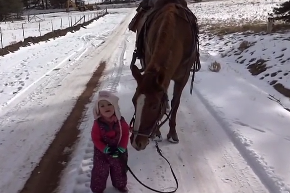 Three-Year-Old Emma and Her Horse Will Melt Your Heart
