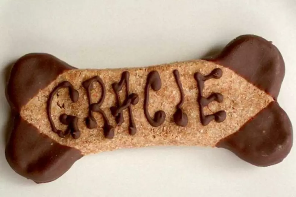 How Will You and Your Dog Celebrate &#8216;National Dog Biscuit Appreciation Day&#8217; [POLL]