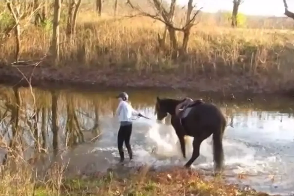 Reluctant Horse Discovers Splashing Water is Fun [VIDEO]