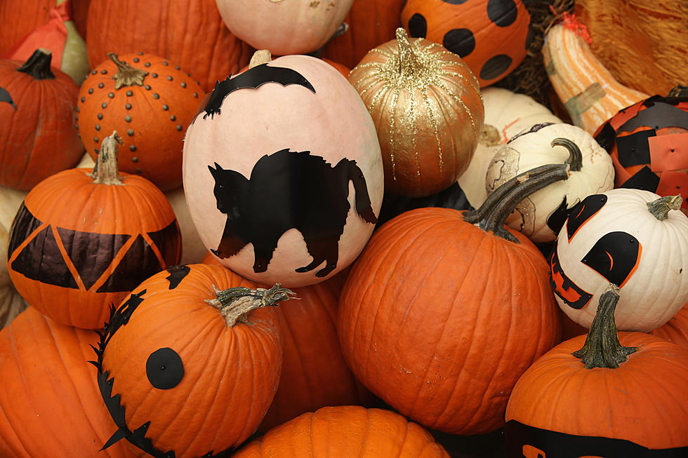 Neat No Carve Pumpkin Ideas For Halloween