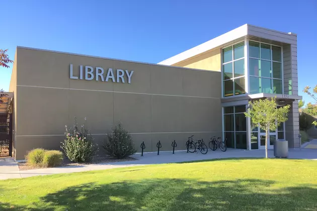 Mesa County Library Seeks &#8216;Artists In Residence&#8217;