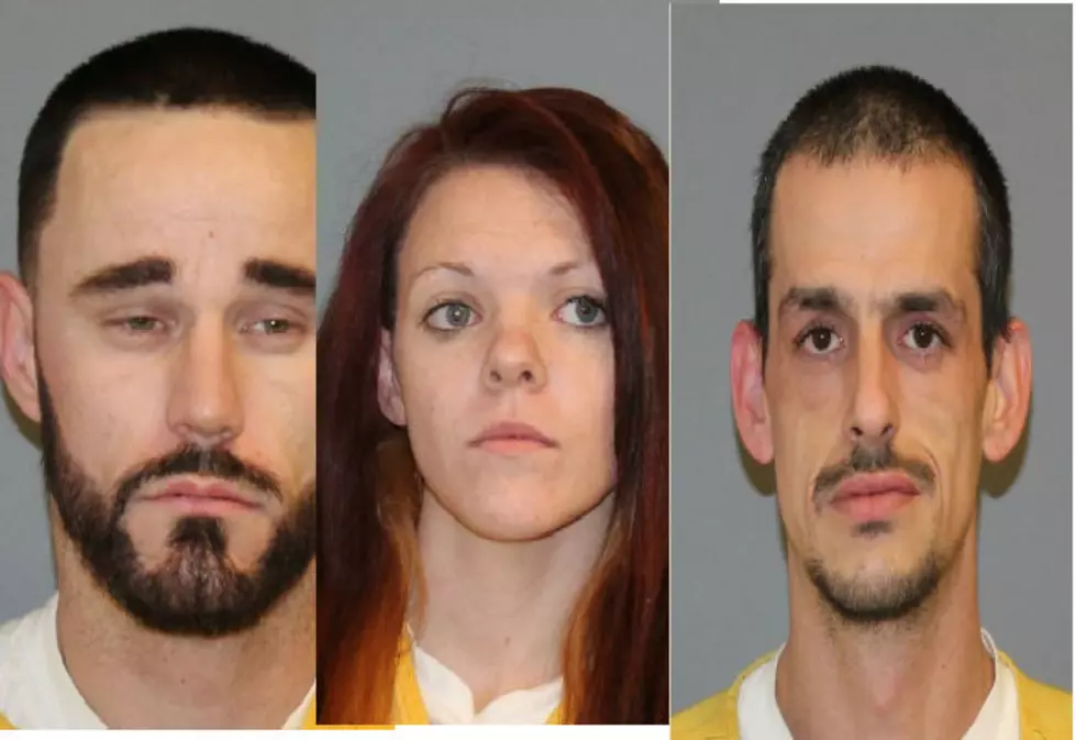 Mesa County Sheriff’s New Years Arrests