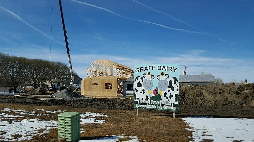 Graff Dairy Making Positive Progress + Our Tongues Are Excited
