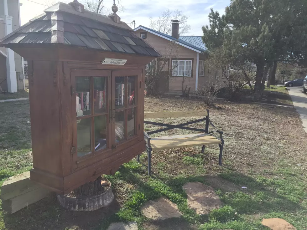 The Grand Junction Little Free Library