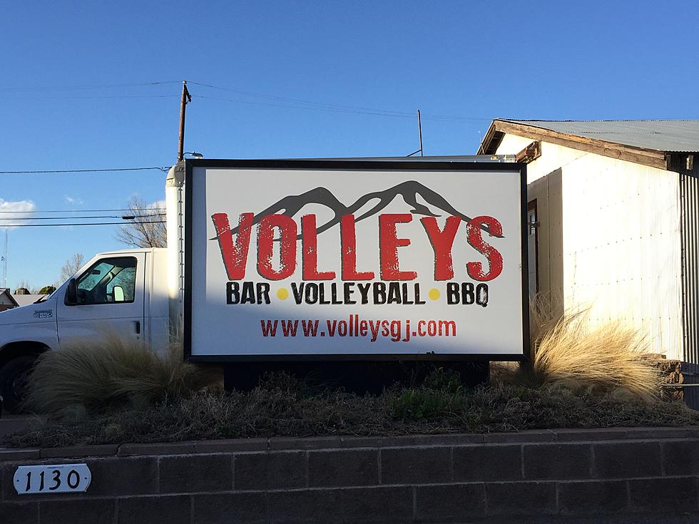 Volleys is Back in Business