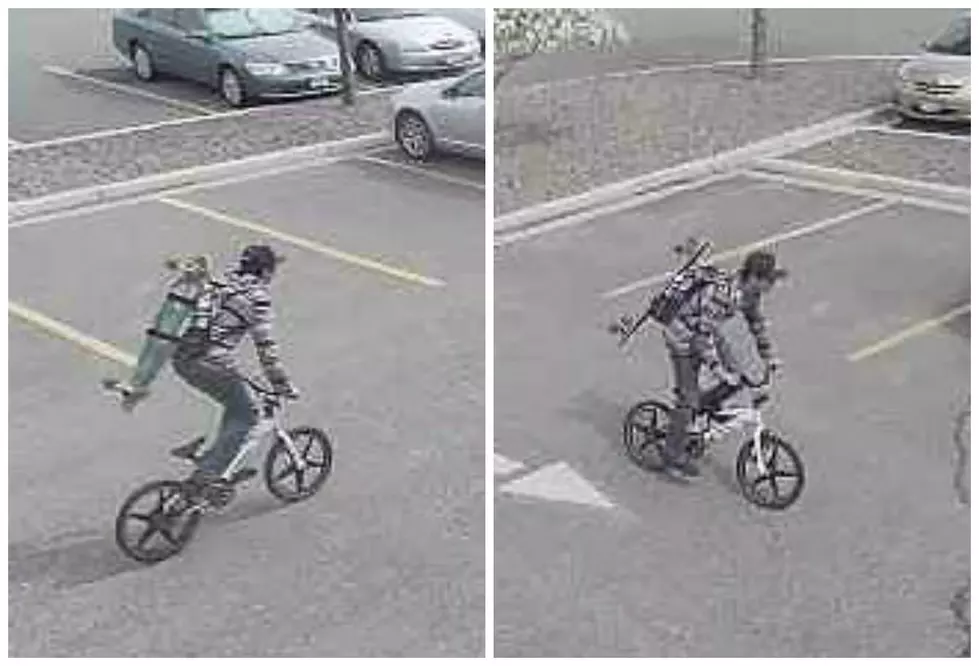 Do You Recognize This Fruita Area Bike Theft Suspect? [PHOTOS]