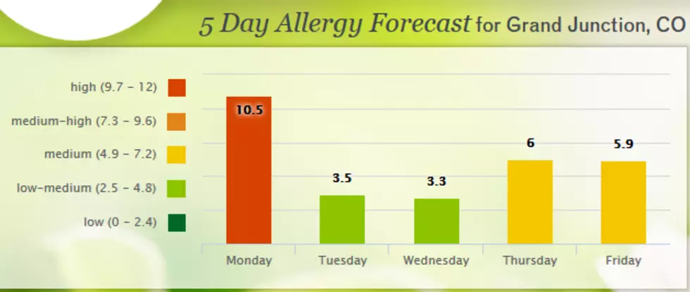 How Bad Are Your Allergies After Grand Junction’s Windy Weekend Weather?