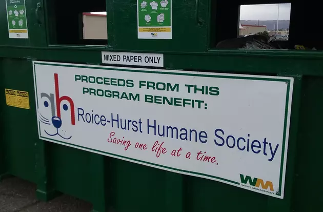 Support Western Colorado Pets With Your Paper Recyclables [PHOTOS]