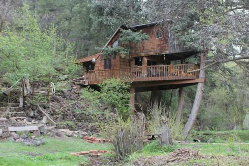 Carbondale Colorado Treehouse is the Coolest AirBNB, Ever