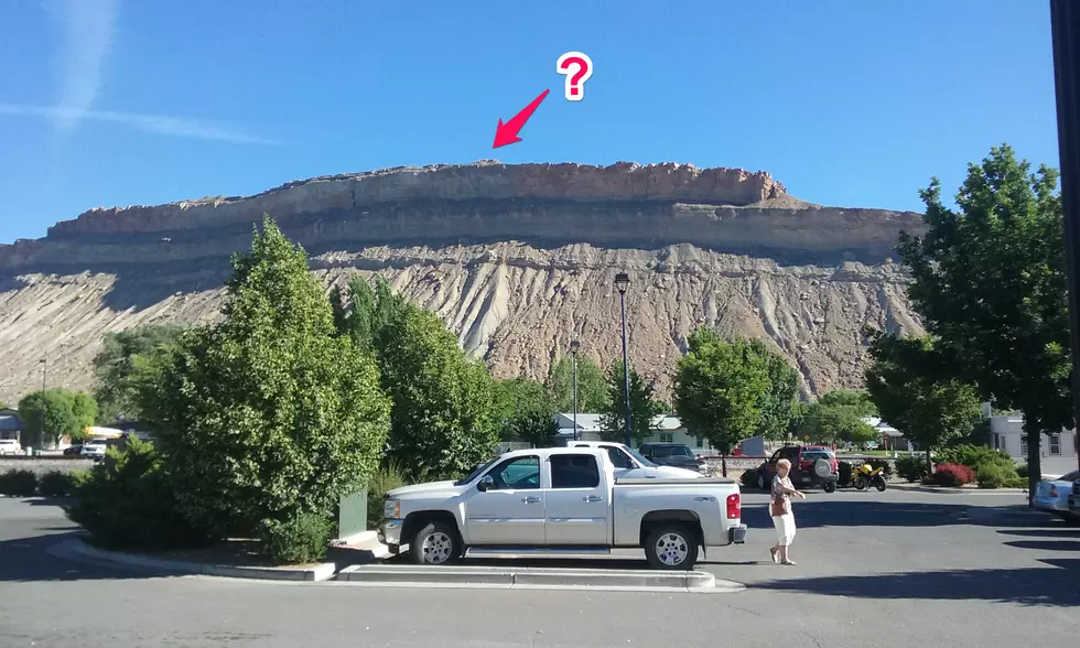 Volunteer Sought to Replace American Flag Near Palisade