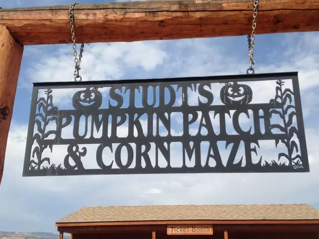 Pumpkins Are On The Menu In Mesa County