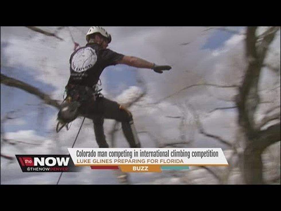 Tree Climbing Championship in Grand Junction