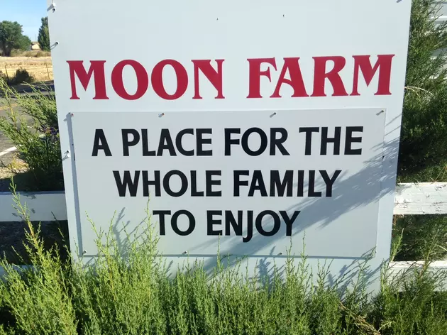 Moon Farm and Pumpkin Patch Now Open