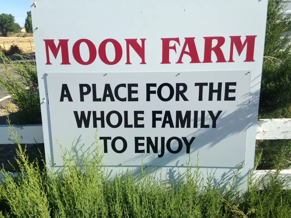 Moon Farm Is OPEN