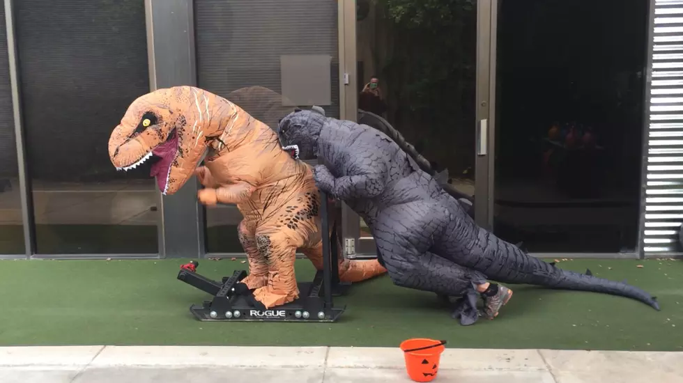 Godzilla and T-Rex Hit the Gym in Grand Junction