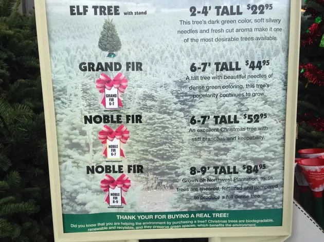 HOW Much For A Christmas Tree?