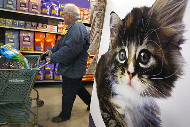 Western Colorado Residents Should Check Cat Food for Recall