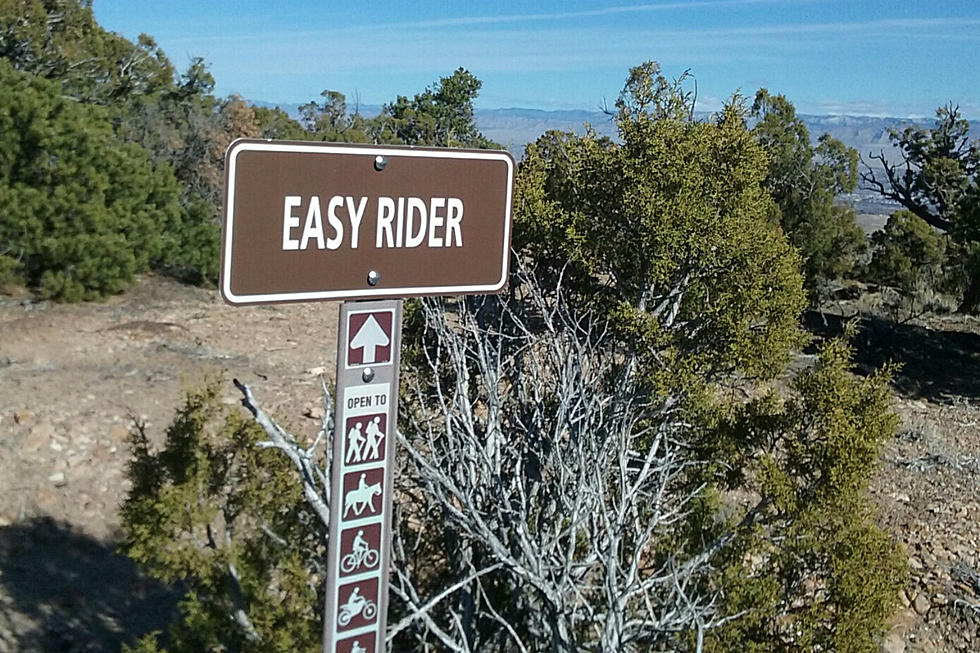 Easy Rider Hike: A Perfect Colorado Weekend Hike Awaits