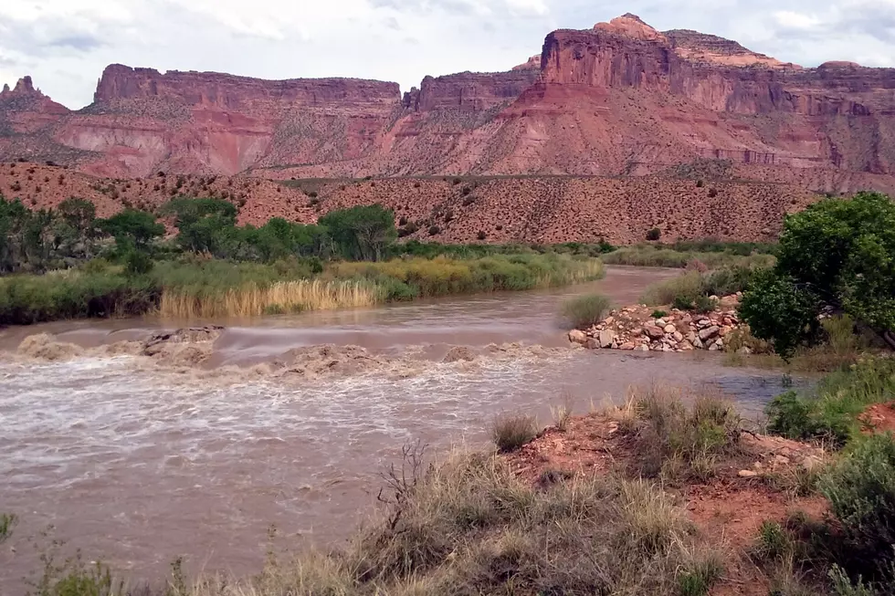 Western Colorado’s Dolores River Flowing In Rare Form