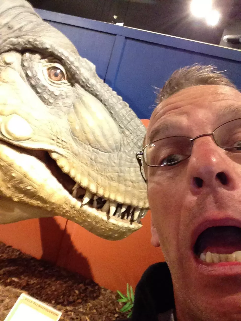 Selfie-A-Saurus