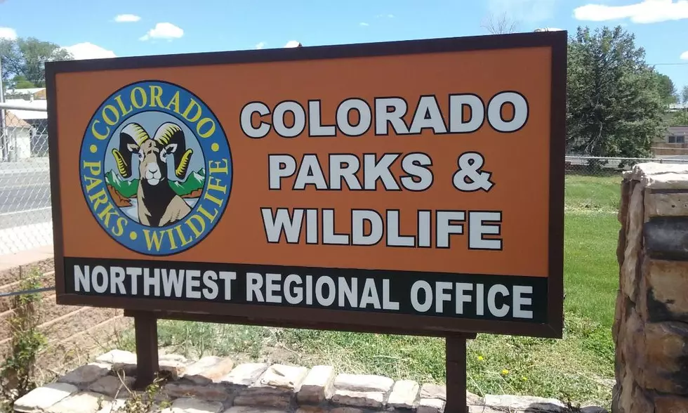 What Is The Colorado Wildlife Habitat Program?