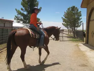 Western Colorado&#8217;s Horseback Riding Trips