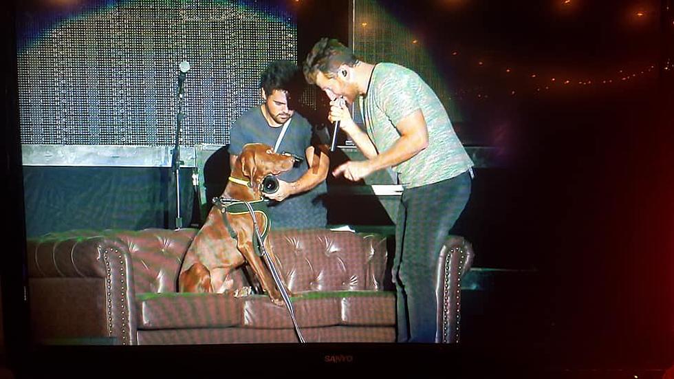 Brett Eldredge's Dog, Edgar Boogie, Steals the Country Jam Stage